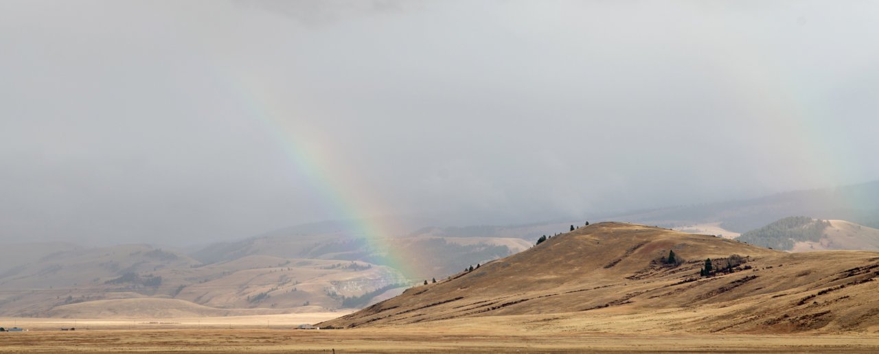 Elk Refuge in Jackson Hole, WY