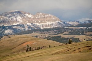 Elk Refuge